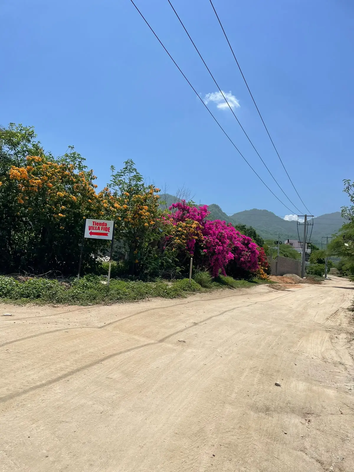 Calle y acceso del sector