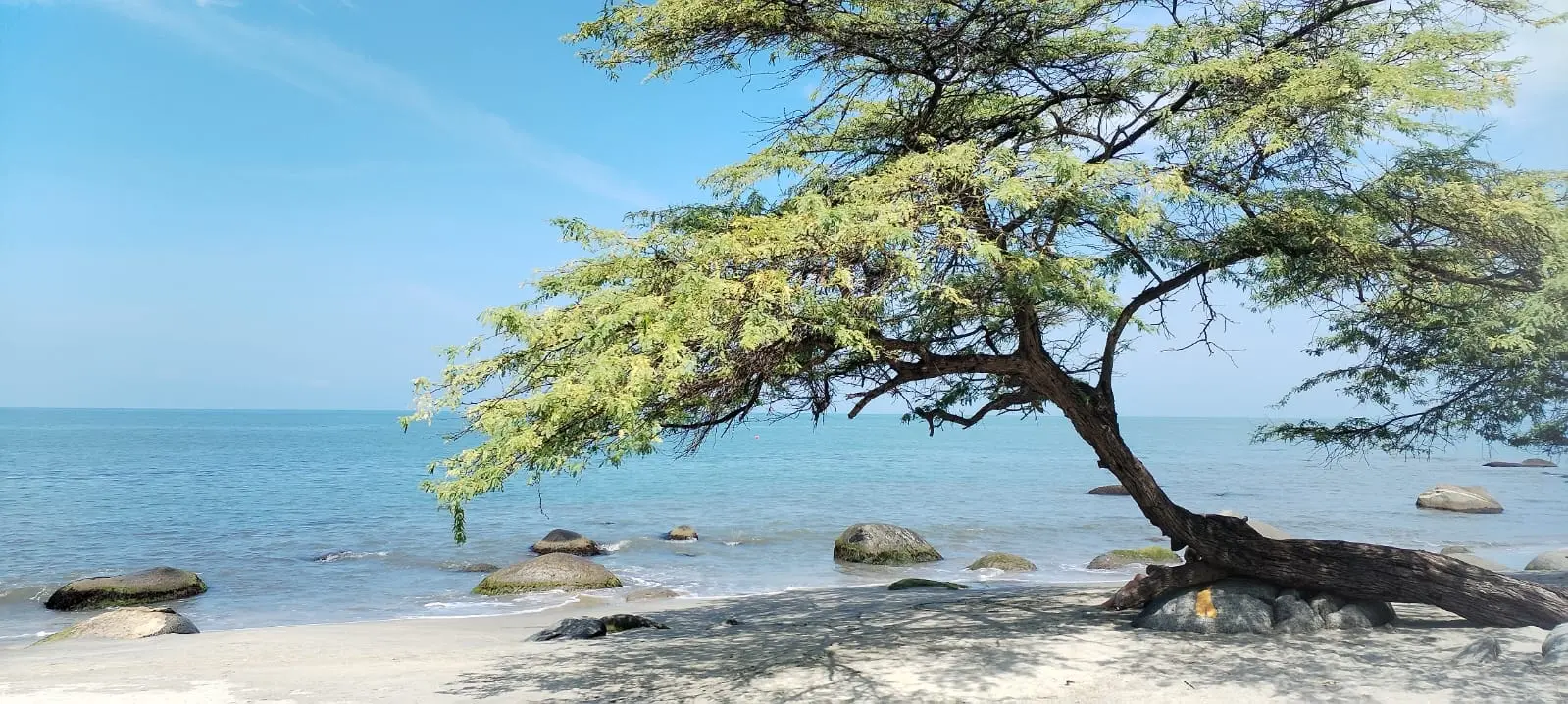 Playa cercana al proyecto Santa Marina